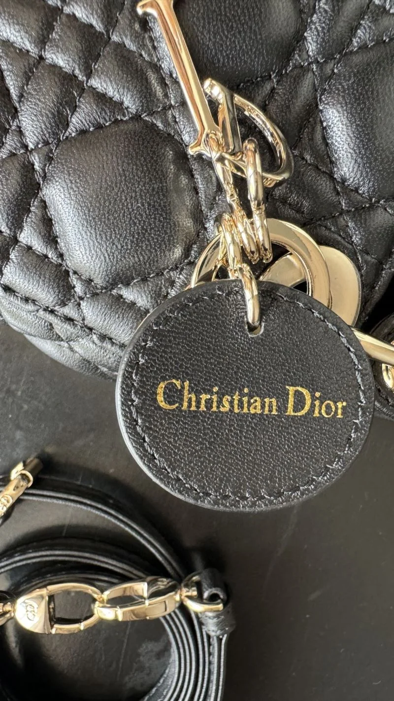 Resilient Christian Dior My Lady Bags 37703