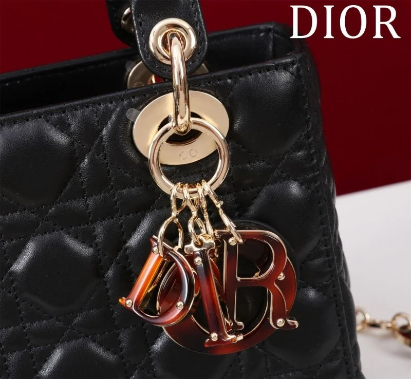 Christian Dior My Lady Bags StreetReady 37640