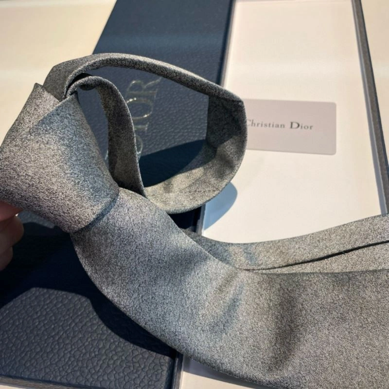Christian Dior Neckties Classic 268998