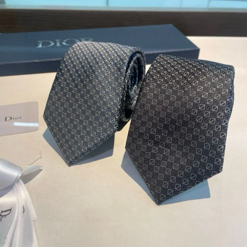 Christian Dior Neckties Packable 268980