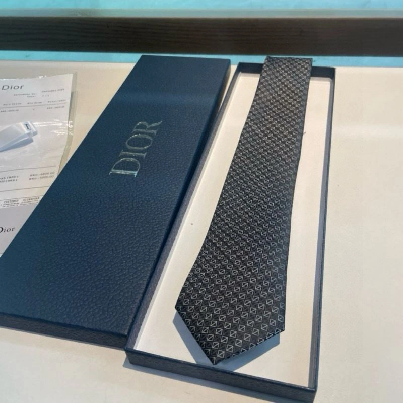 Christian Dior Neckties Packable 268980