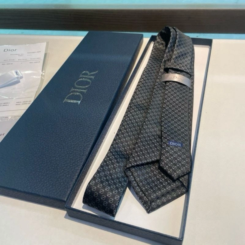 Christian Dior Neckties Packable 268980