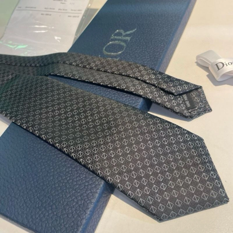 Christian Dior Neckties Packable 268980