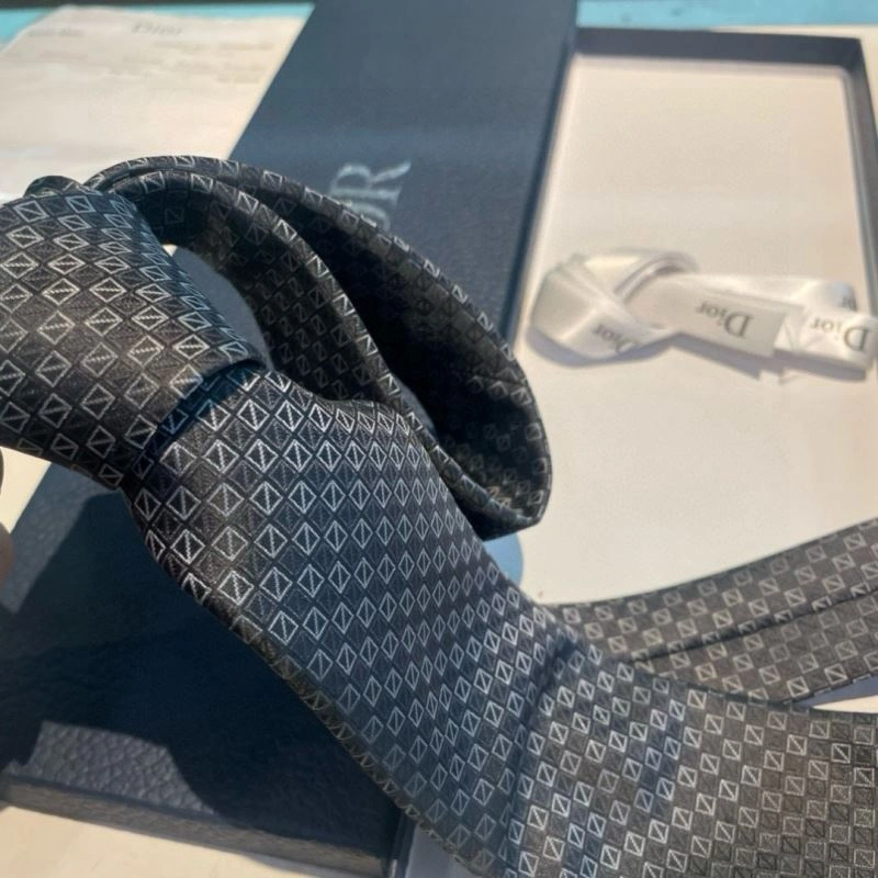 Christian Dior Neckties Packable 268980