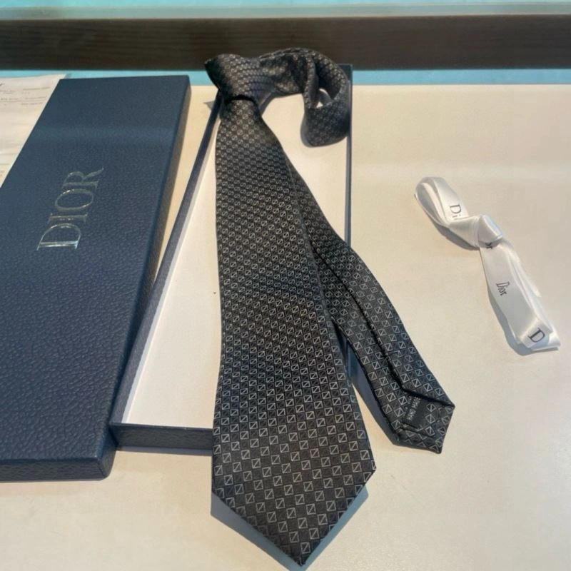 Christian Dior Neckties Packable 268980