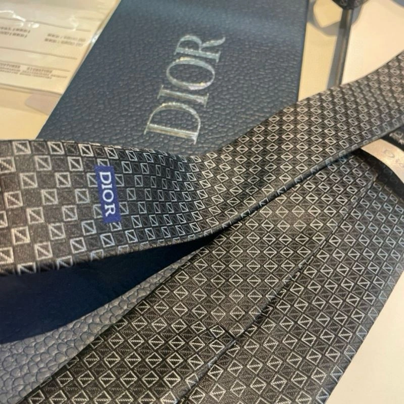 Christian Dior Neckties Packable 268980
