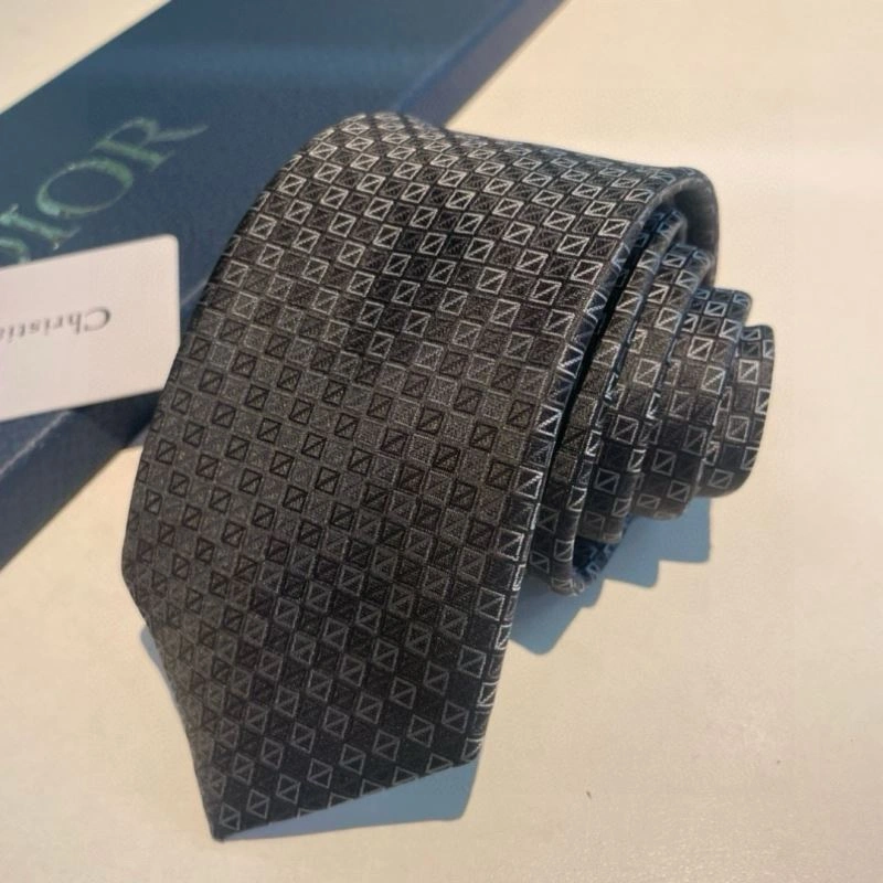 Christian Dior Neckties Packable 268980