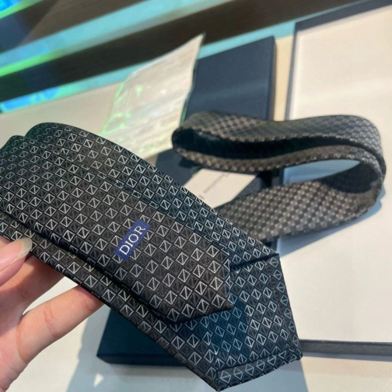Christian Dior Neckties Packable 268980