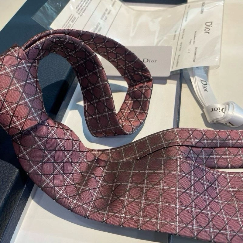 Resilient Christian Dior Neckties 268979