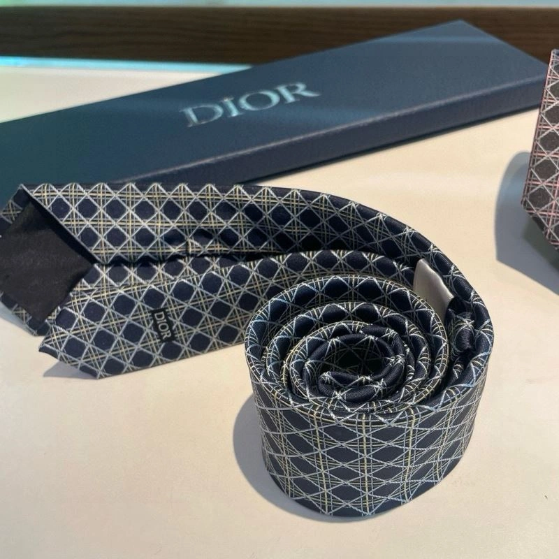 Christian Dior Neckties Snug 268976
