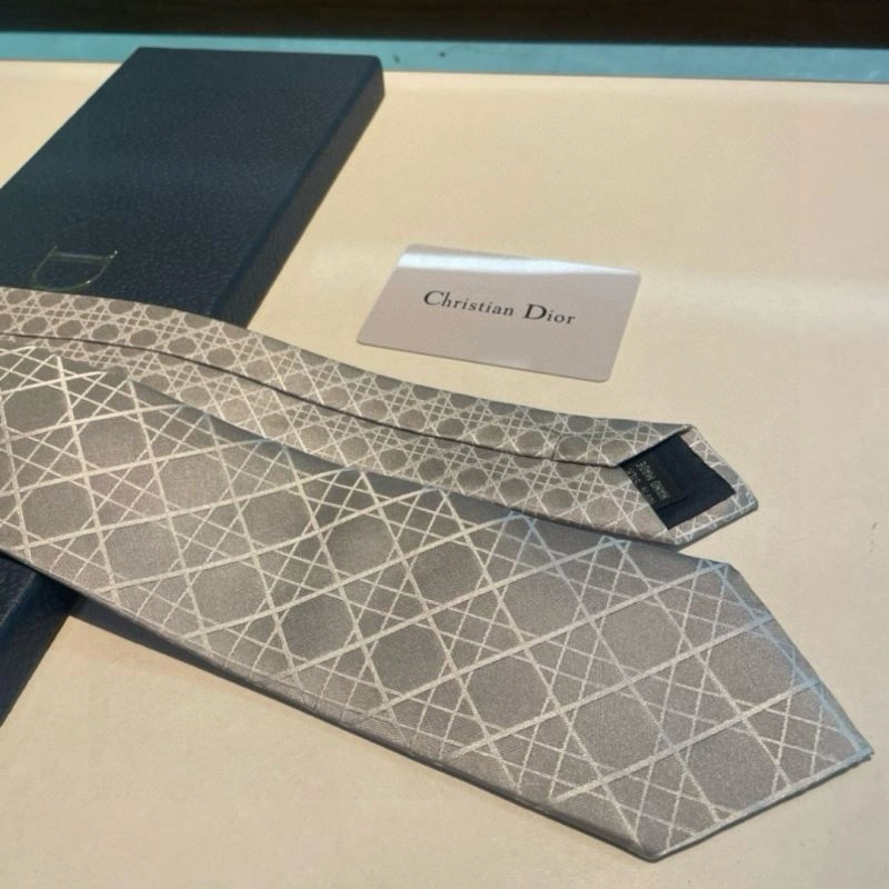 Christian Dior Neckties Soft 268973