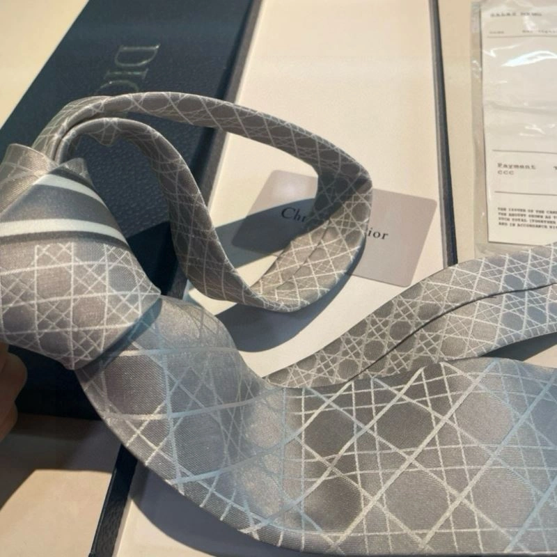Christian Dior Neckties Soft 268973
