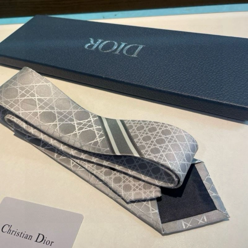 Christian Dior Neckties Soft 268973