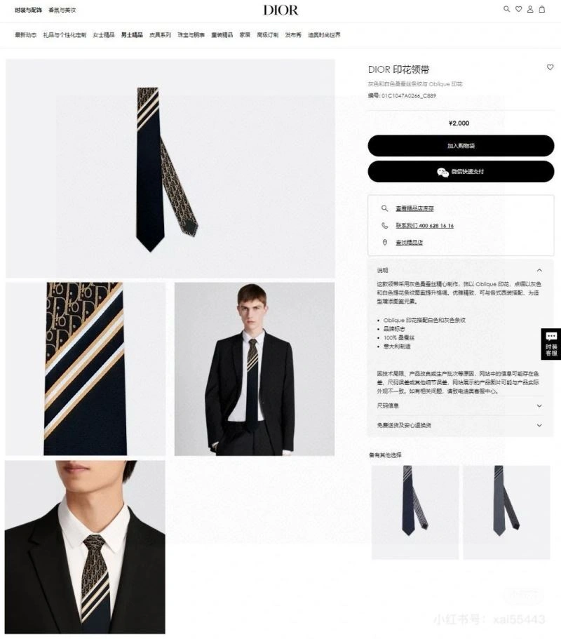 QuickDry Christian Dior Neckties 268960