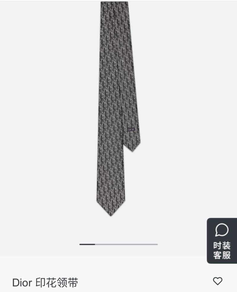 Resilient Christian Dior Neckties 268961