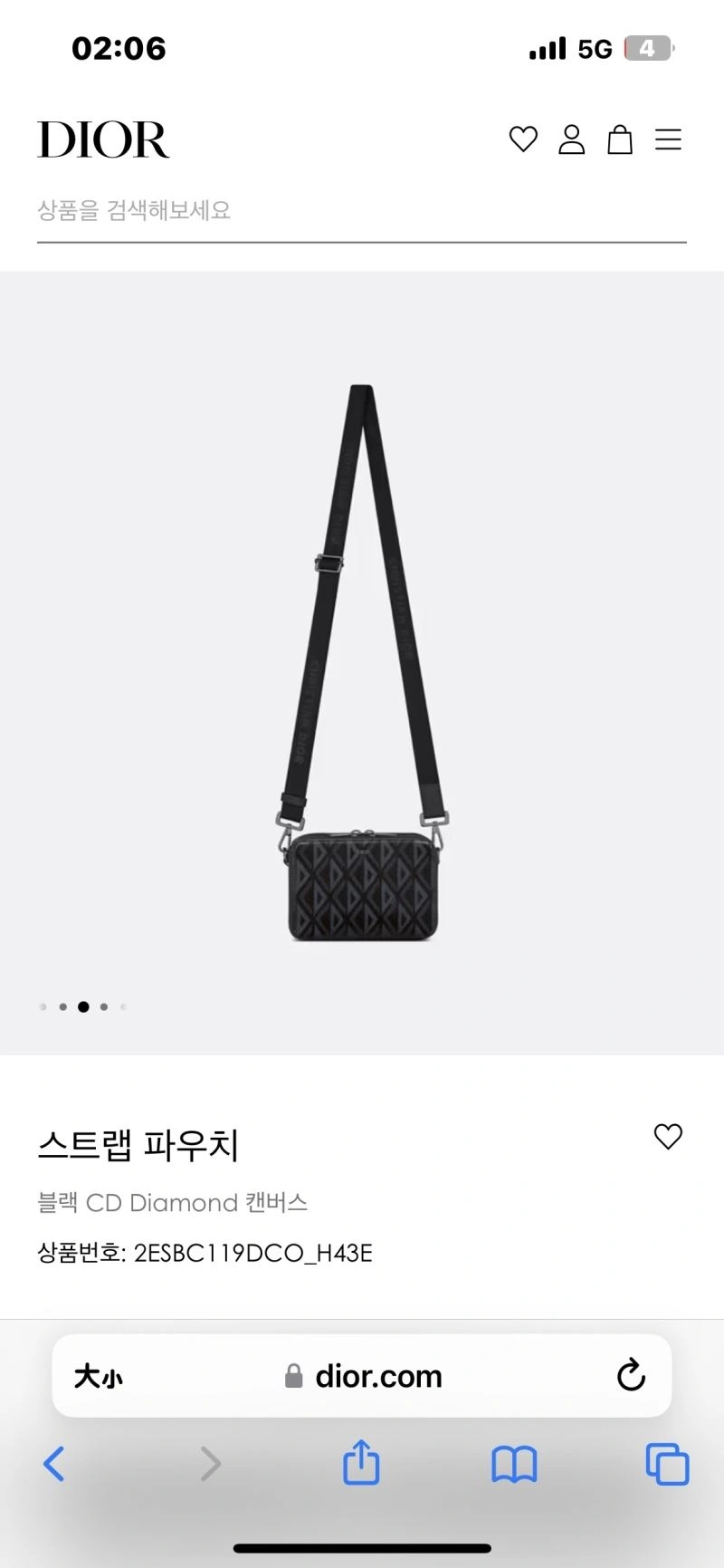 Popular Christian Dior Other Bags 76336
