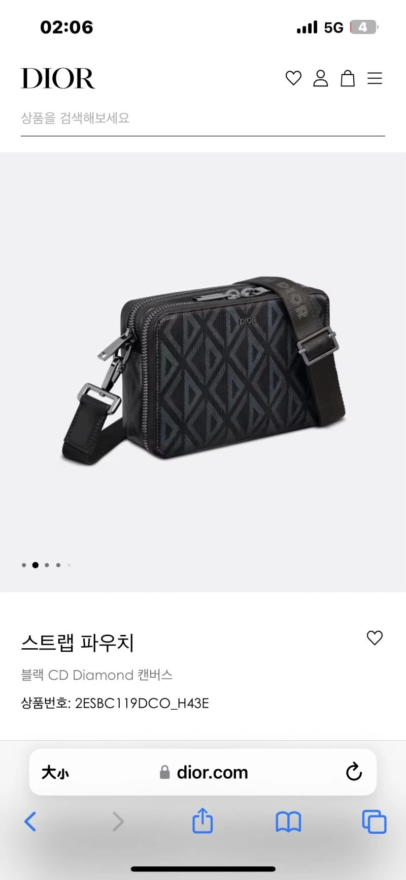 Popular Christian Dior Other Bags 76336