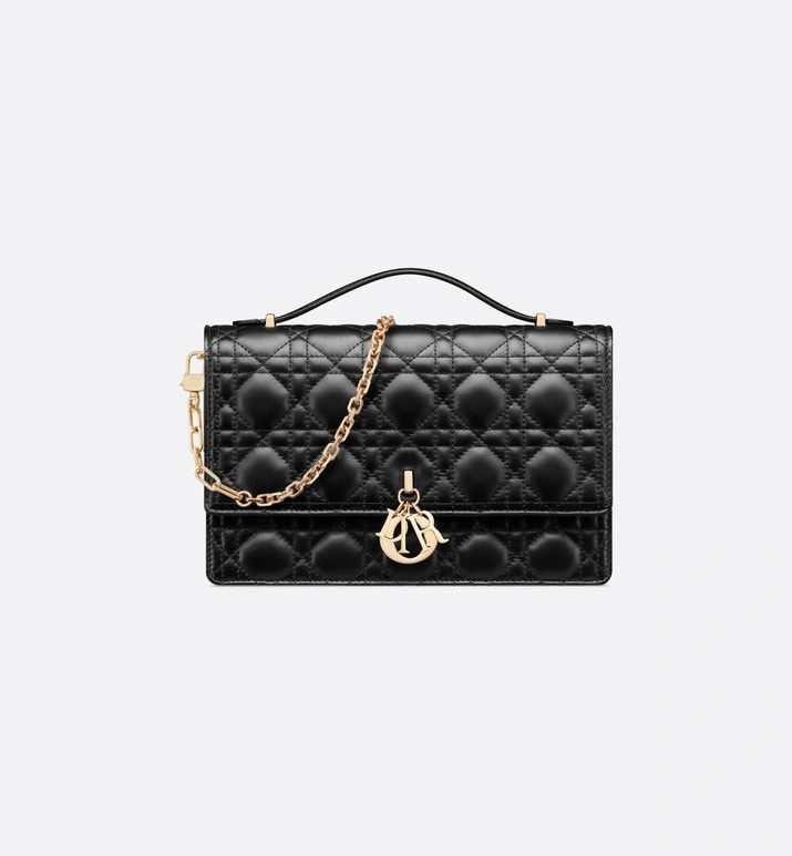 Christian Dior Other Bags Breathable 75891