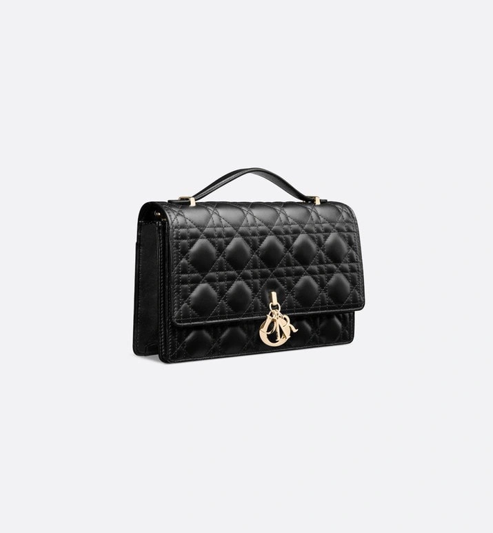 Christian Dior Other Bags Breathable 75891