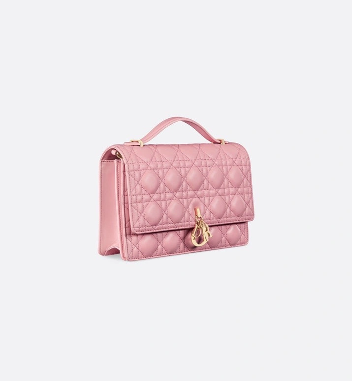 AllSeason Christian Dior Other Bags 75880