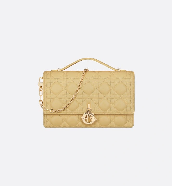 Christian Dior Other Bags MoistureWicking 75878