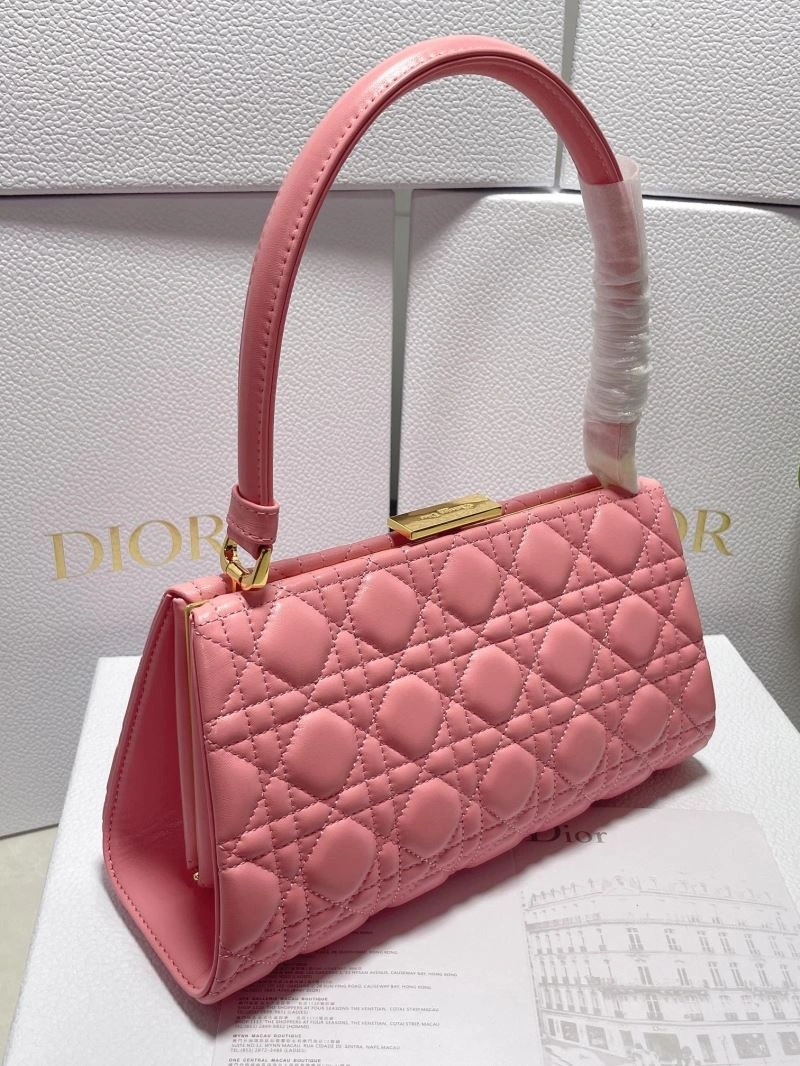 MoistureWicking Christian Dior Other Bags 75872
