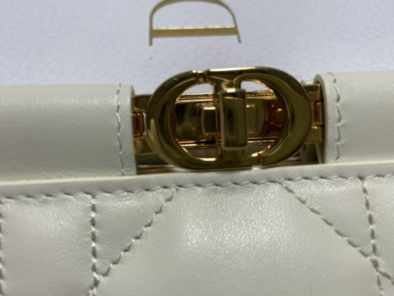Efficient Christian Dior Other Bags 75865
