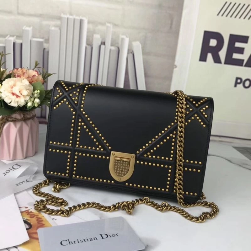 Practical Christian Dior Other Bags 75889