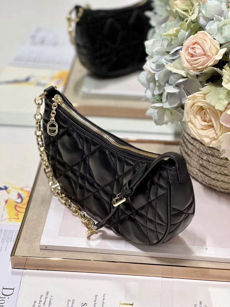 WrinkleFree Christian Dior Other Bags 75798