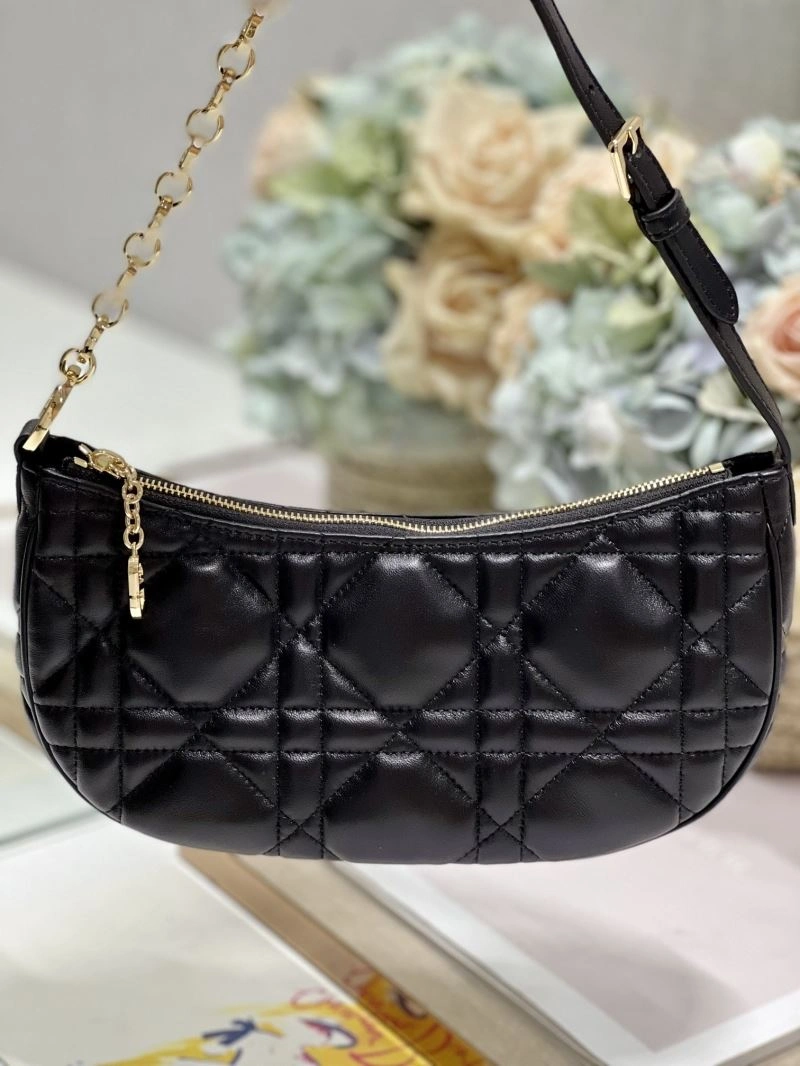 WrinkleFree Christian Dior Other Bags 75798