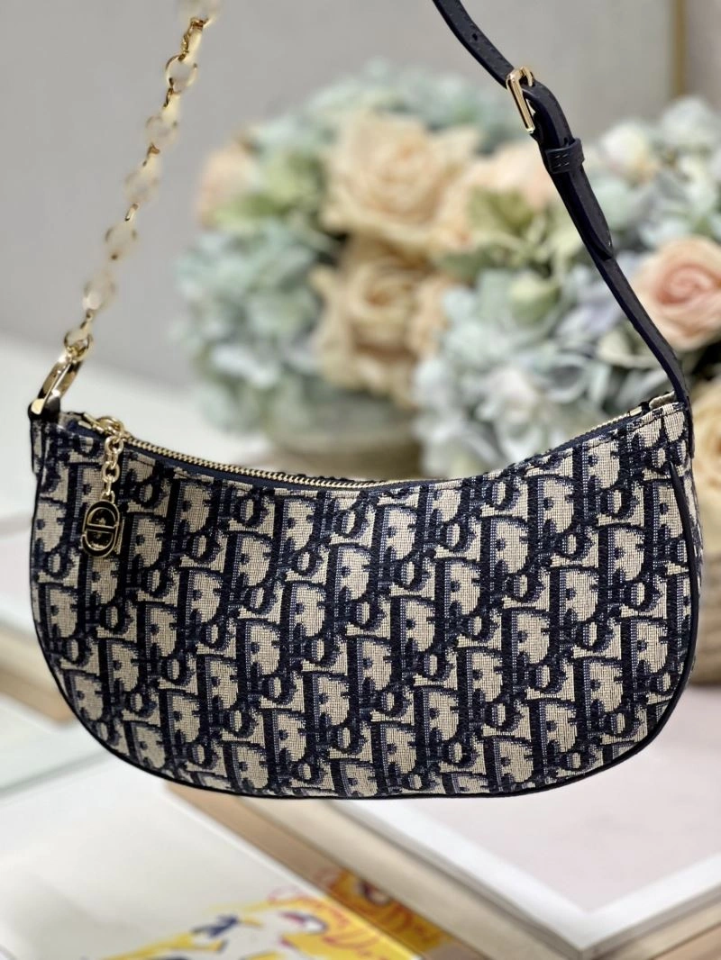 WrinkleFree Christian Dior Other Bags 75812
