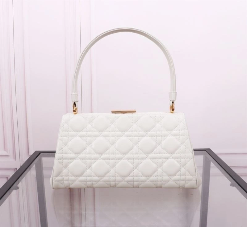 Christian Dior Other Bags Flexible 75793