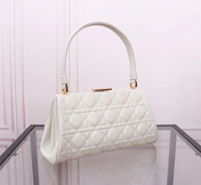 Christian Dior Other Bags Flexible 75793