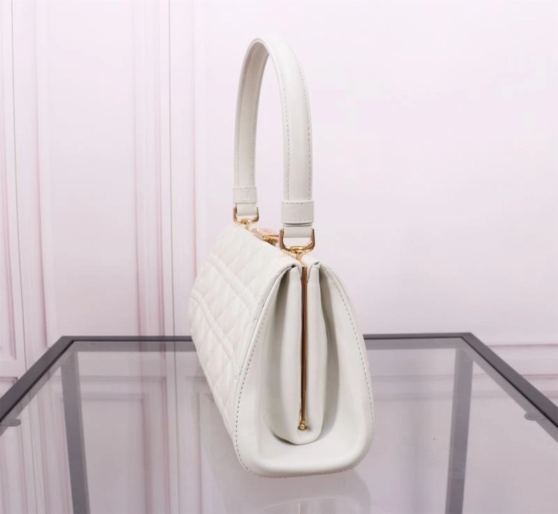 Christian Dior Other Bags Flexible 75793