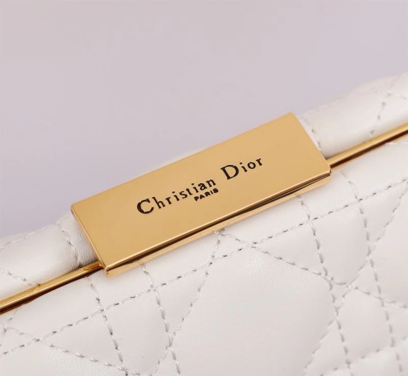 Christian Dior Other Bags Flexible 75793