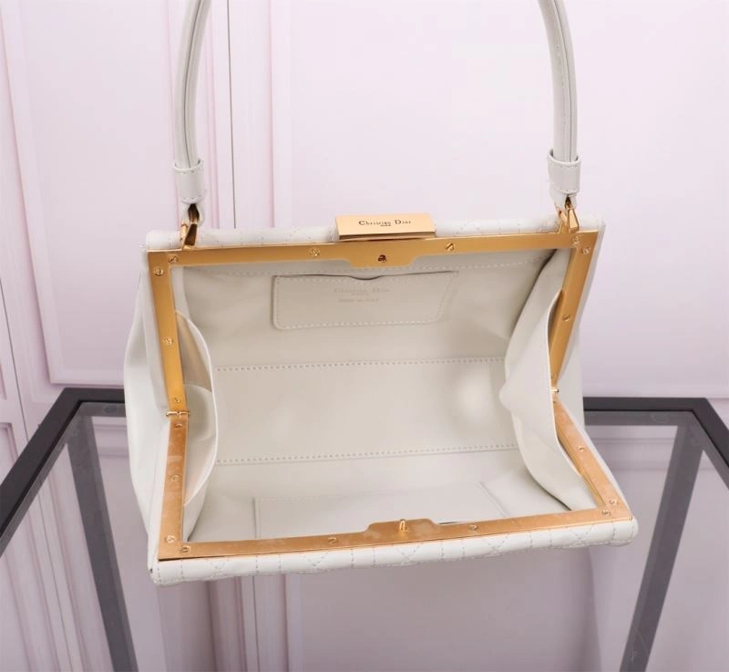 Christian Dior Other Bags Flexible 75793