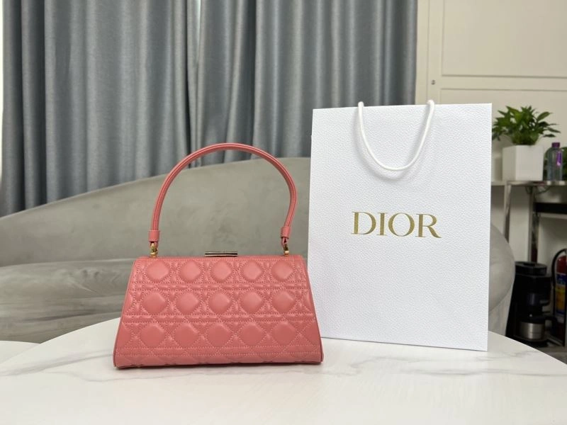 UrbanChic Christian Dior Other Bags 75746