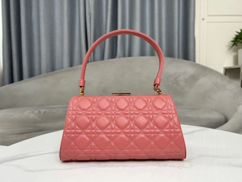 UrbanChic Christian Dior Other Bags 75746