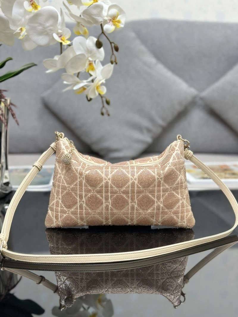 Christian Dior Other Bags Affordable 74038