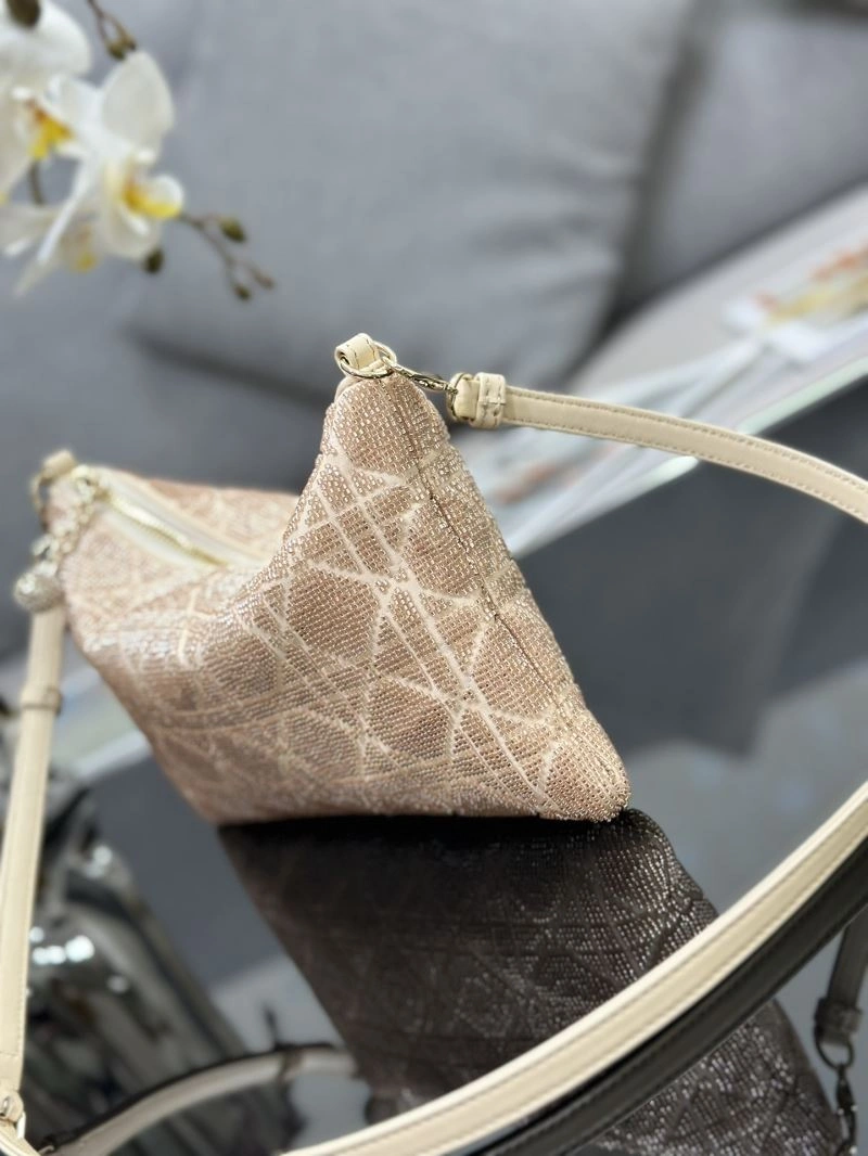 Christian Dior Other Bags Affordable 74038