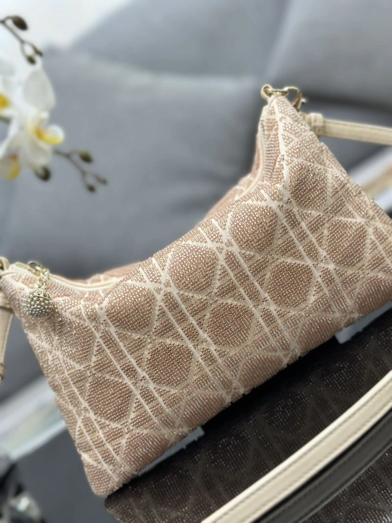 Christian Dior Other Bags Affordable 74038