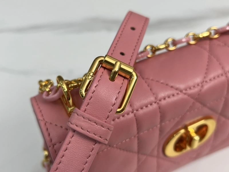 Resilient Christian Dior Other Bags 70792