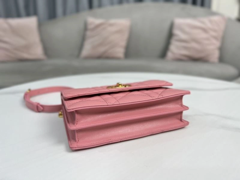 Resilient Christian Dior Other Bags 70792