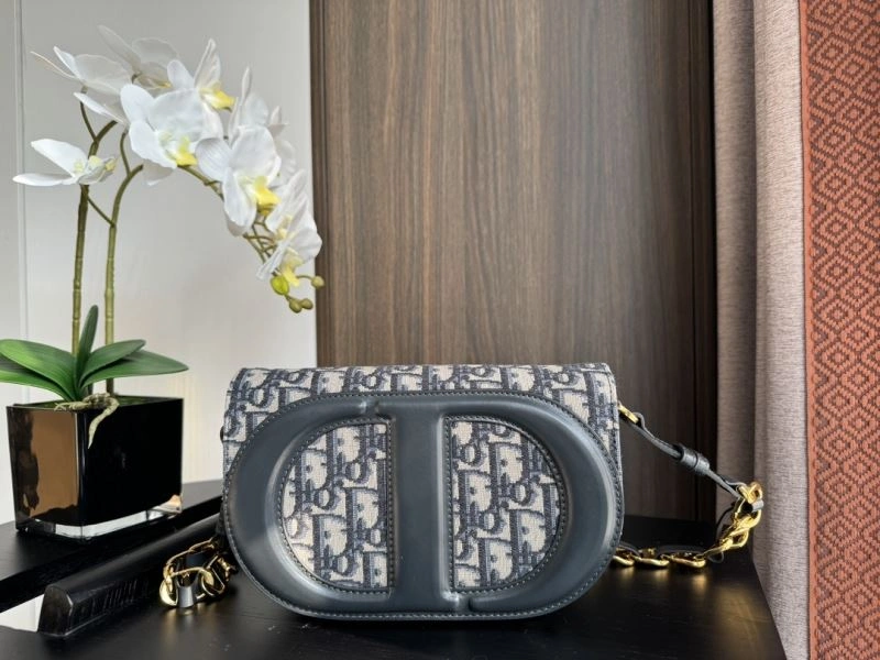 Christian Dior Other Bags DailyWear 70770
