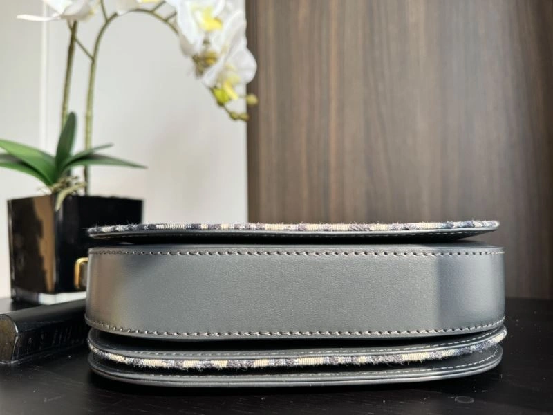 Christian Dior Other Bags DailyWear 70770