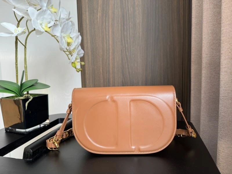 Christian Dior Other Bags Resilient 70769