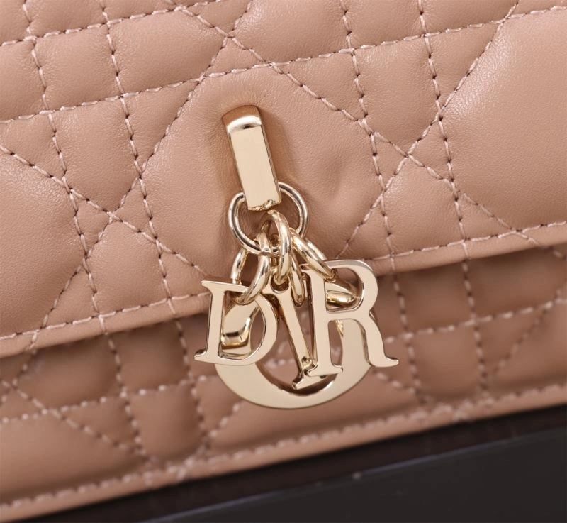 Popular Christian Dior Other Bags 70718