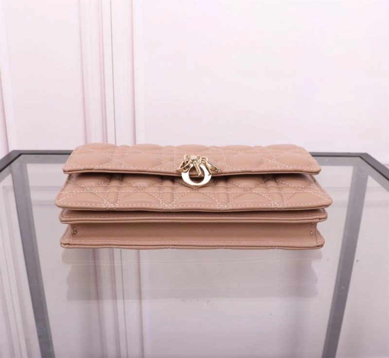 Popular Christian Dior Other Bags 70718