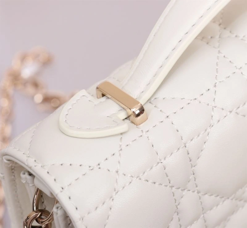 EyeCatching Christian Dior Other Bags 70716