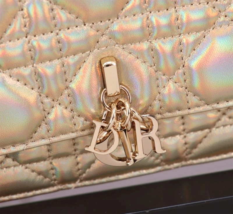 Popular Christian Dior Other Bags 70711